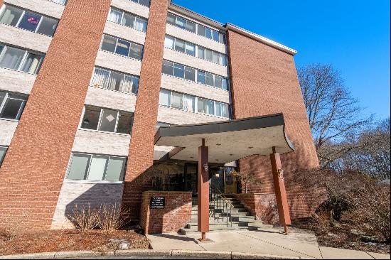 22 Chestnut Place, Unit 307, Brookline, MA, 02445