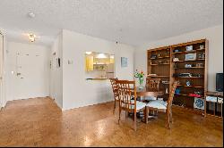 22 Chestnut Place, Unit 307, Brookline, MA, 02445