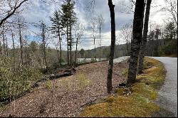 1615 Mountain Laurel Drive, Highlands, NC 28741