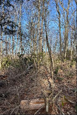 WONDERLAND WOODS - BLOWING ROCK