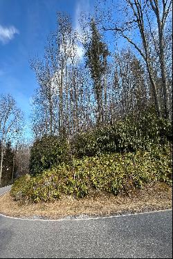 WONDERLAND WOODS - BLOWING ROCK