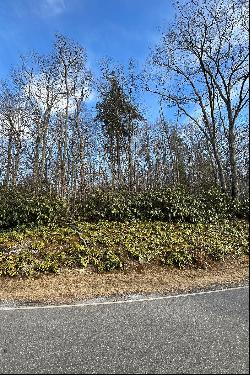 WONDERLAND WOODS - BLOWING ROCK