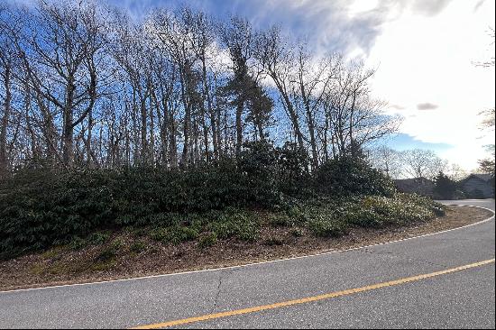 WONDERLAND WOODS - BLOWING ROCK