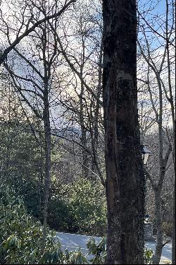 WONDERLAND WOODS - BLOWING ROCK