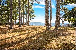 WATERFRONT AND GOLF COURSE HOMESITE