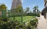 The new lifestyle in Cancun