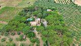 AMAZING VILLA WITH POOL AND EXPANSIVE LAND