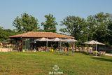 Istria Estate with small vineyard 