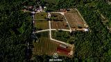 Istria Estate with small vineyard 