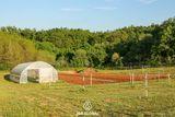 Istria Estate with small vineyard 