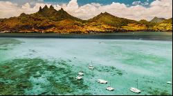 Anahita Beau Champ: La Ravine