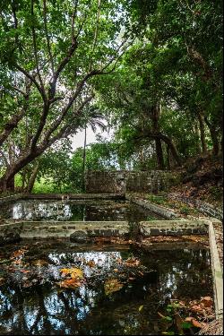 Anahita Beau Champ: La Ravine