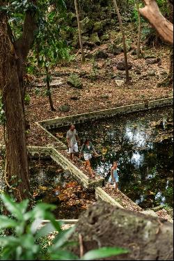 Anahita Beau Champ: La Ravine