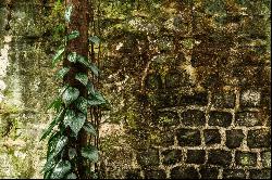 Anahita Beau Champ: La Ravine