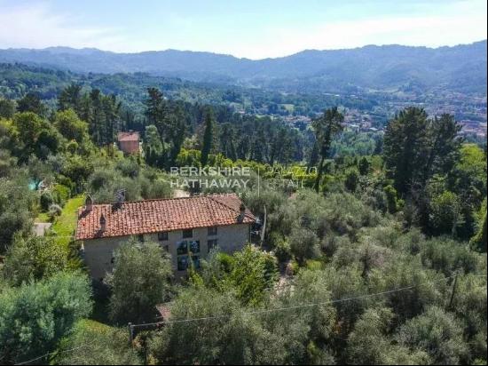  , Camaiore 55041