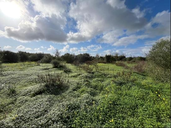 Rustic plot with plans for a house near Ses Salines, Ses Salines 07640