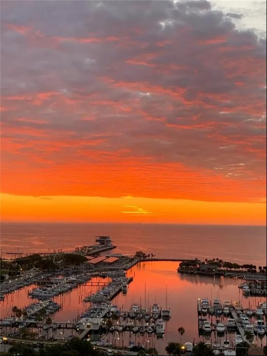 100 1ST Avenue N, #1804, St Petersburg, FL, 33701, USA