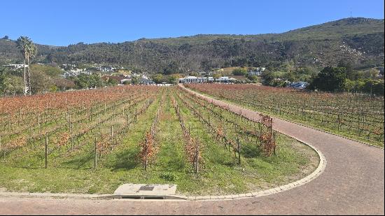 Paarl, WC, 7646, South Africa
